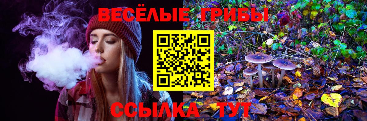 Кизилюрт  Галлюциногенные грибы ЛСД  где купить наркоту  Вход с VPN  Галлюциногенные грибы мухоморы 
