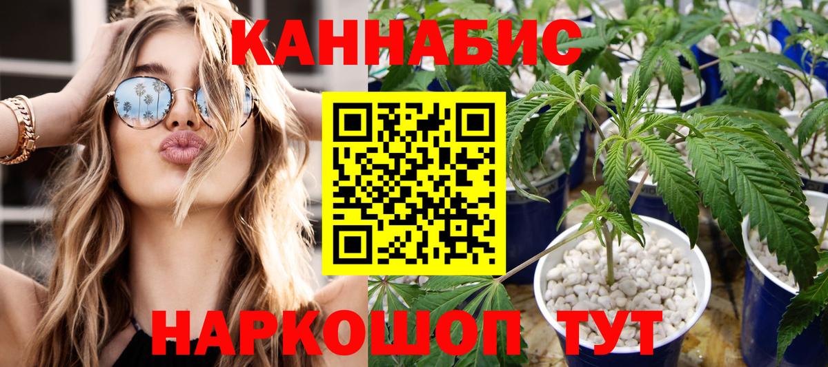 Шишки марихуана конопля Кизилюрт